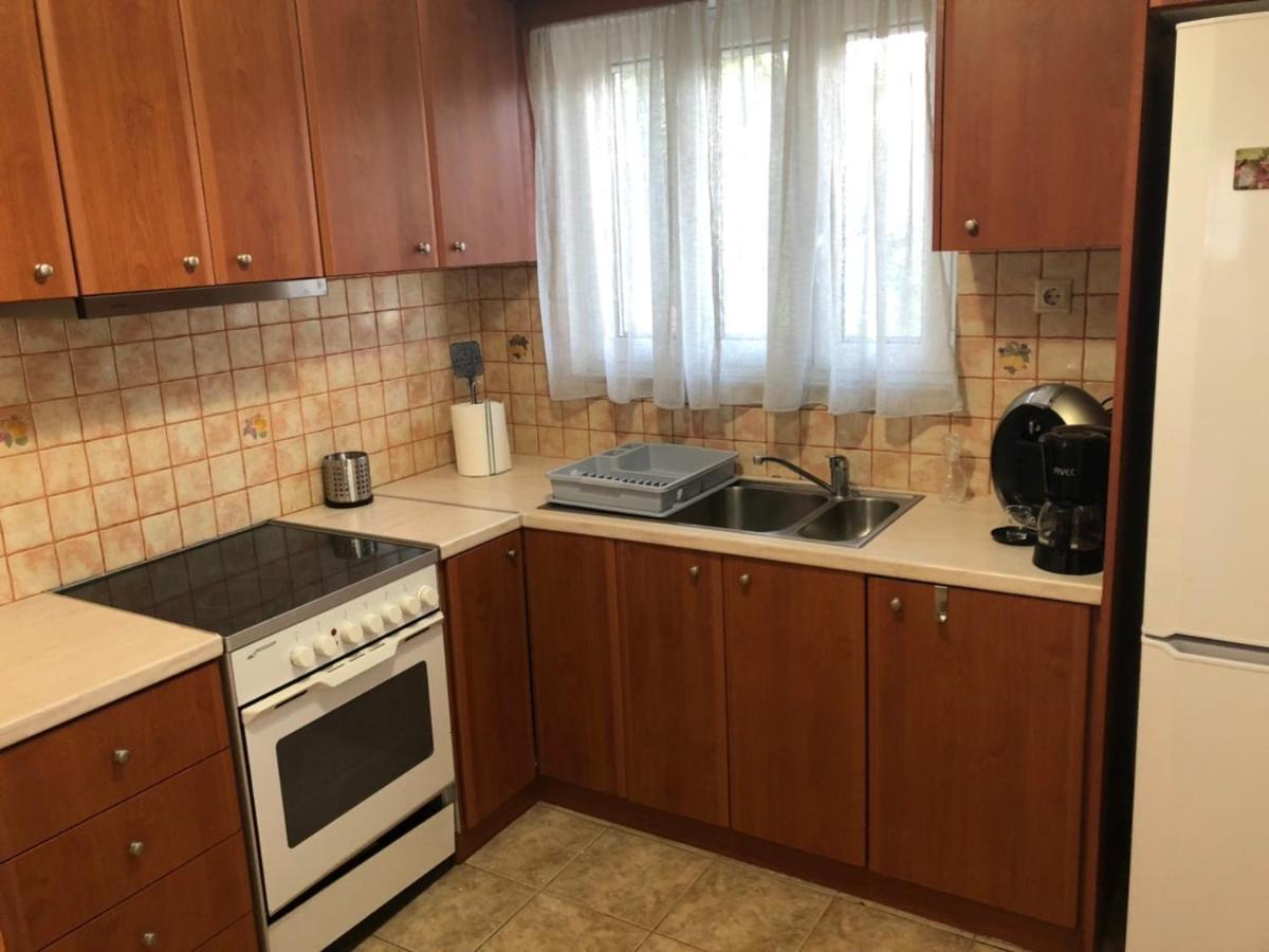 Apartament Αgrilitsa House Vasilítsion Zewnętrze zdjęcie